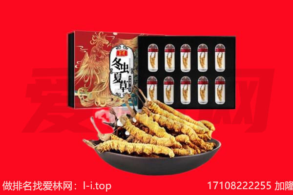 凤庆县回收虫草.jpg